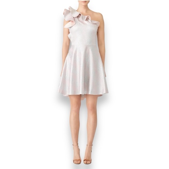 Nha Khanh Blush/Silver Metallic Ruffle One Shoulder Fit & Flare Caspian Dress - Picture 1 of 9